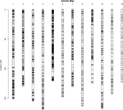 Construction of a highly saturated genetic map and identification of quantitative trait loci for leaf traits in jujube